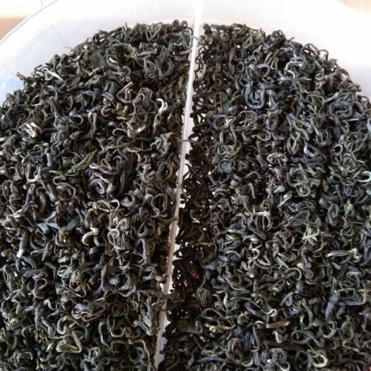 雅安 高山绿茶
