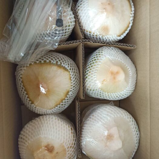 文昌市海南椰青6个装新鲜特产椰子热带孕妇水果批发电商超市进货厂家