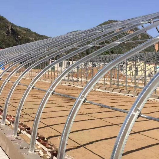 泊头市钢管大棚 大棚骨架厂家直销