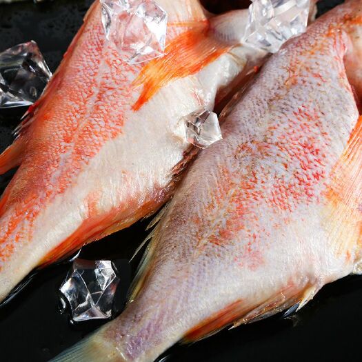 南京 红石斑鱼冷冻整条大龙胆鱼富贵鱼美国红鱼深海鲜活海鲜水产