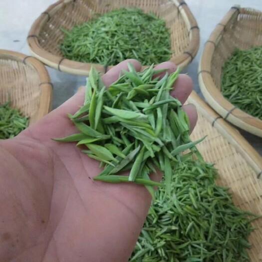 龙里县 纯手工制作天然鸟王种高山绿茶