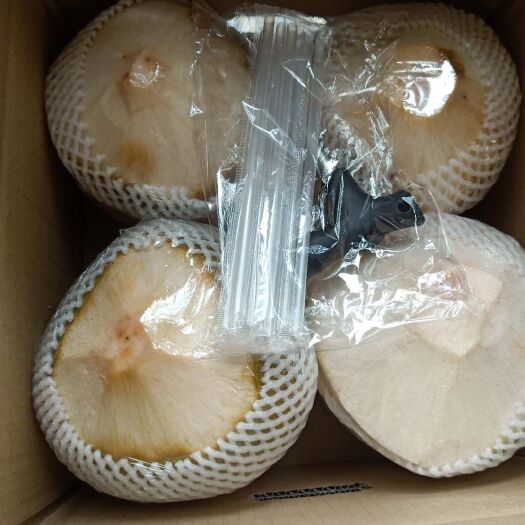 文昌市海南椰青四4个装新鲜特产椰子热带孕妇水果厂批发清甜好吃健康
