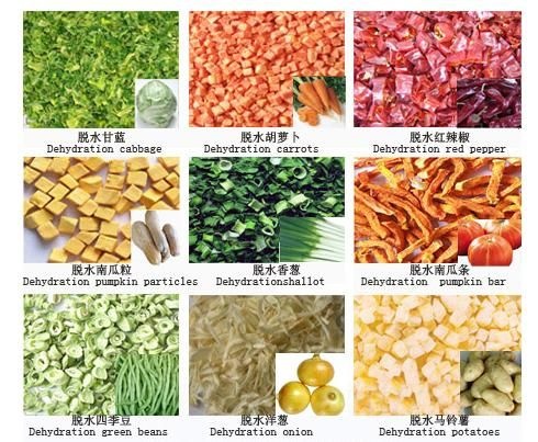 莘县 脱水蔬菜