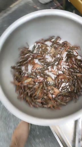 凤凰县清水小龙虾 345超硬规格