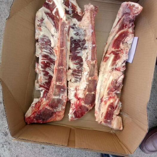 翁牛特旗 近期牛胸骨
