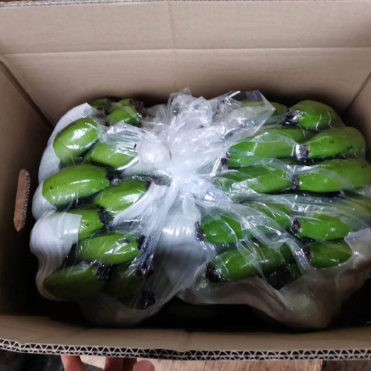 邯郸 精品香蕉，保质保量