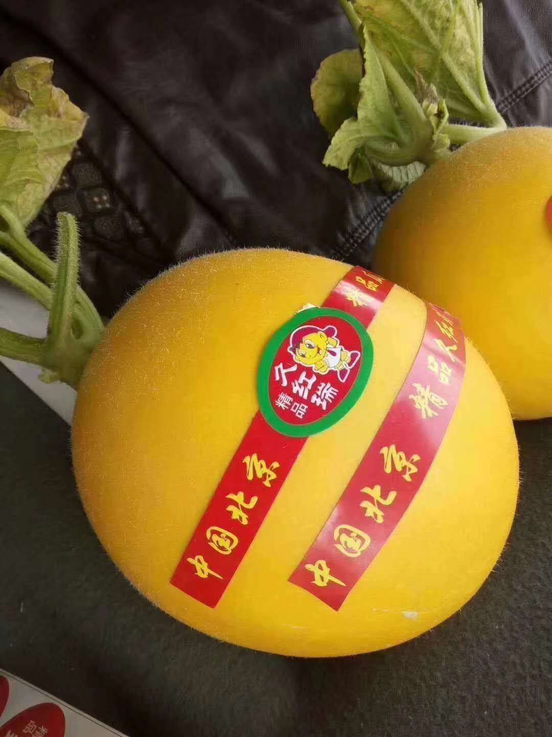  甜瓜香瓜/久红瑞/瑞红