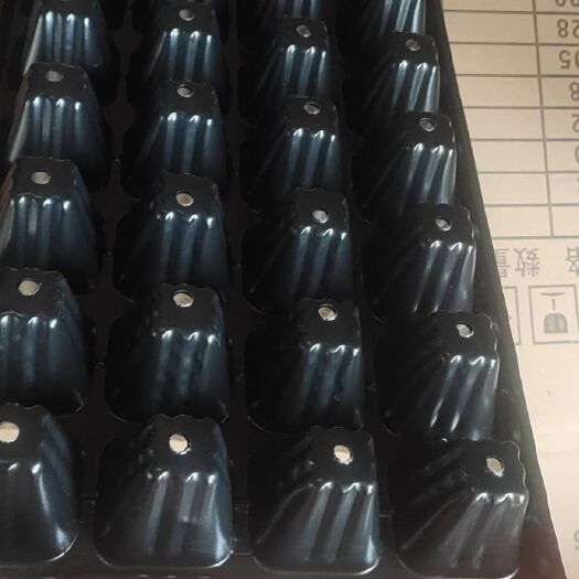 简阳市穴盘/育苗盘 大厂好货pet育苗穴盘