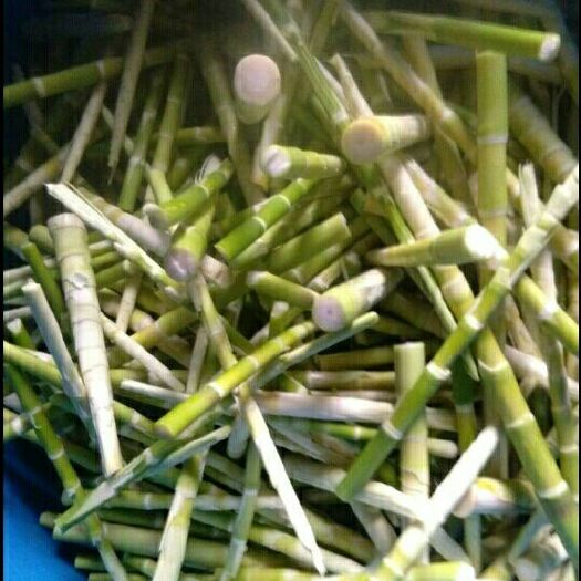 吉首市山竹笋 无污染的绿色菜，美味，有丰富的营养价值，真正的健康菜。已去壳