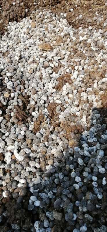 万载县有机兔粪 羊粪自然发酵不添加任何物质