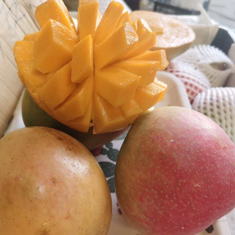  澳芒，澳洲芒