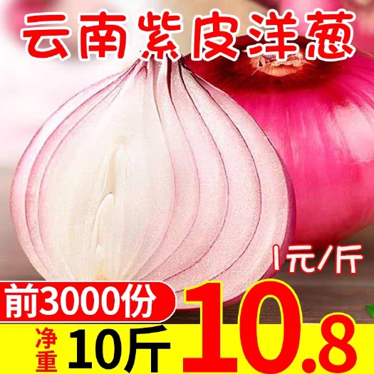 德昌县红皮洋葱 7cm以下