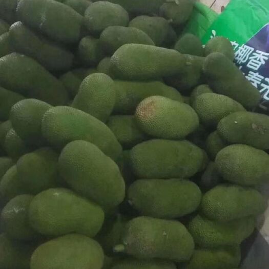 儋州市海南菠萝蜜  精品货35斤以上1.6不包括运费
支持物流零担