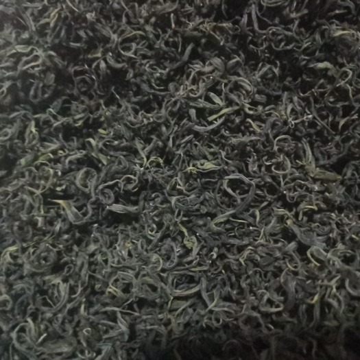 安吉县 绿茶，安吉产地，茶，油青，高山野绿茶