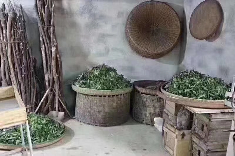 客家九连山高山春绿茶，不贵而养生，醇厚甘香，茶如人品，