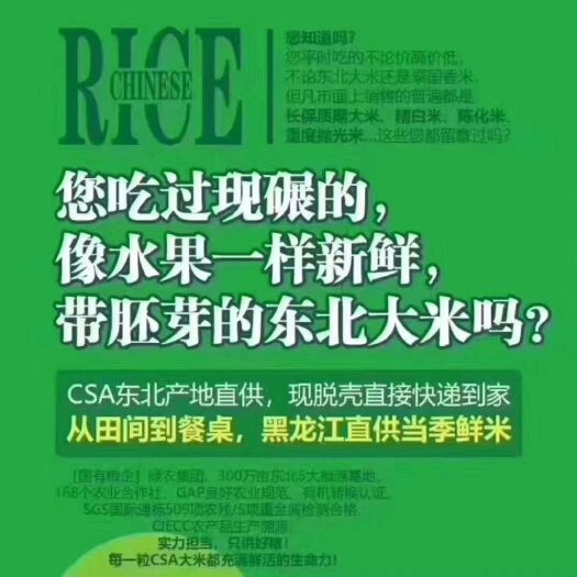 庆安县胚芽米 一等品 一季稻 粳米