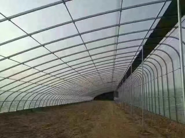 天津蔬菜大棚 全国接单 定制蔬菜暖棚。春秋冷棚。简易联动棚