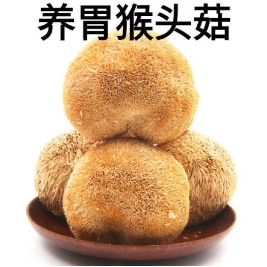 干猴头菇  猴头菇山中珍品做菜营养菇一斤装包邮