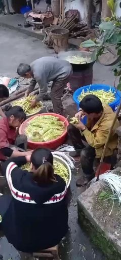 天全县小竹笋  笋子
