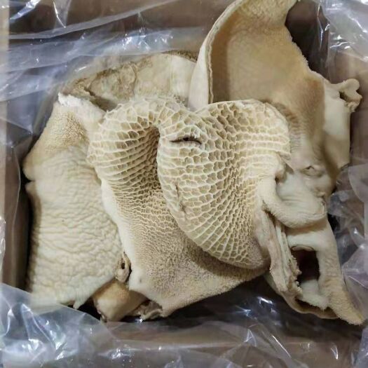 大厂县 牛肚 精修去油 半熟牛肚