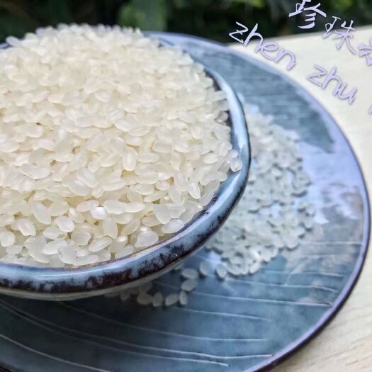 庆安县胚芽米 一等品 一季稻 粳米