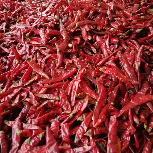 遵义 贵州辣椒，实在香得过份