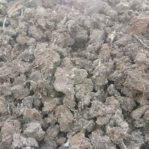 辉县市禽畜粪 保证质量