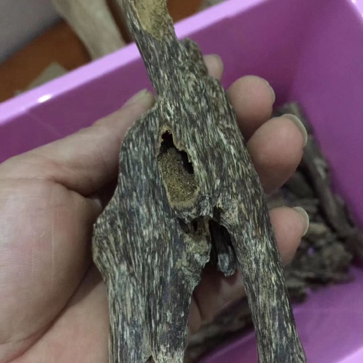 化州市 天然沉香虫流油脂，产地直供，支持线上保障交易。