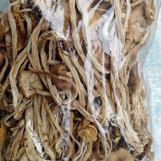 三原县野生茶树菇 6~8cm 未开伞 干茶树菇