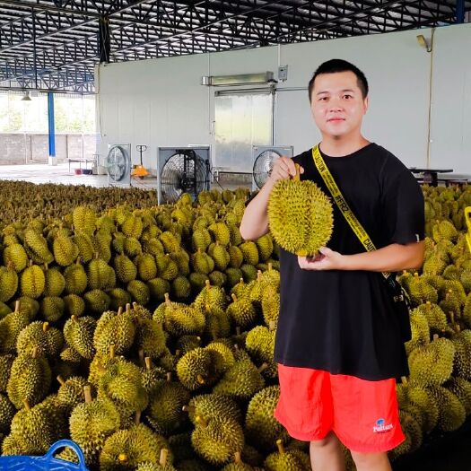 广州泰国金枕榴莲 AB果 大货捡漏