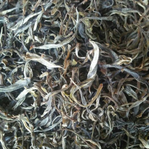 镇沅县 云南大树茶，有需要的老板看过来