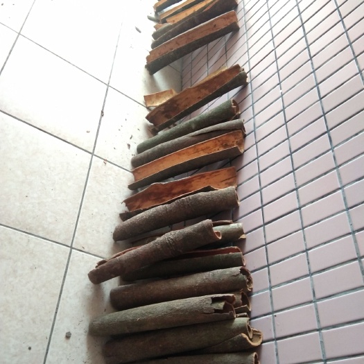 桂平市 桂皮，无公害