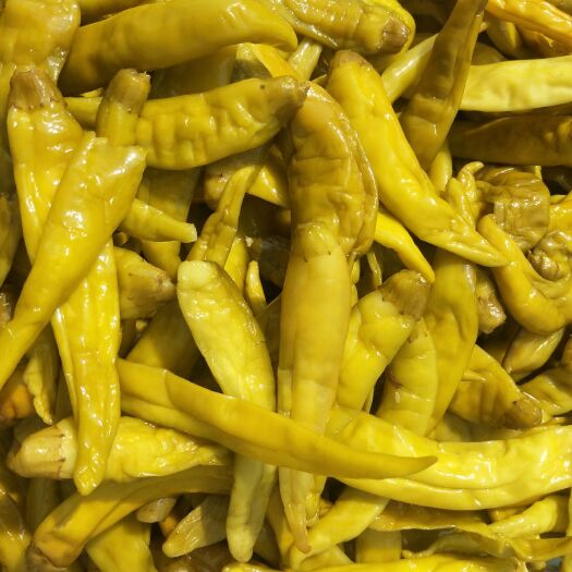 鸡泽县 供应腌制青泡椒