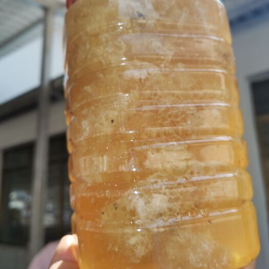 宁洱县 纯生态自家蜂蜜90KG
