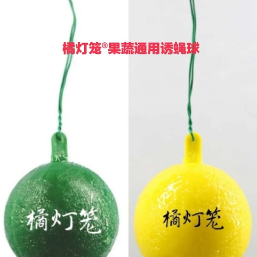 石门县诱蝇球（橘灯笼品牌）诱捕球粘虫球实蝇果蝇治理橘灯笼