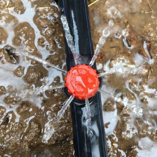 济南 流量可调滴头果树灌溉防堵塞