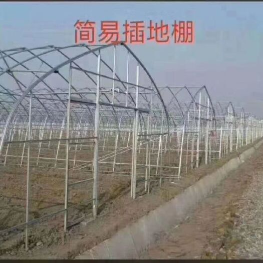 天津钢管大棚 蔬菜种植棚