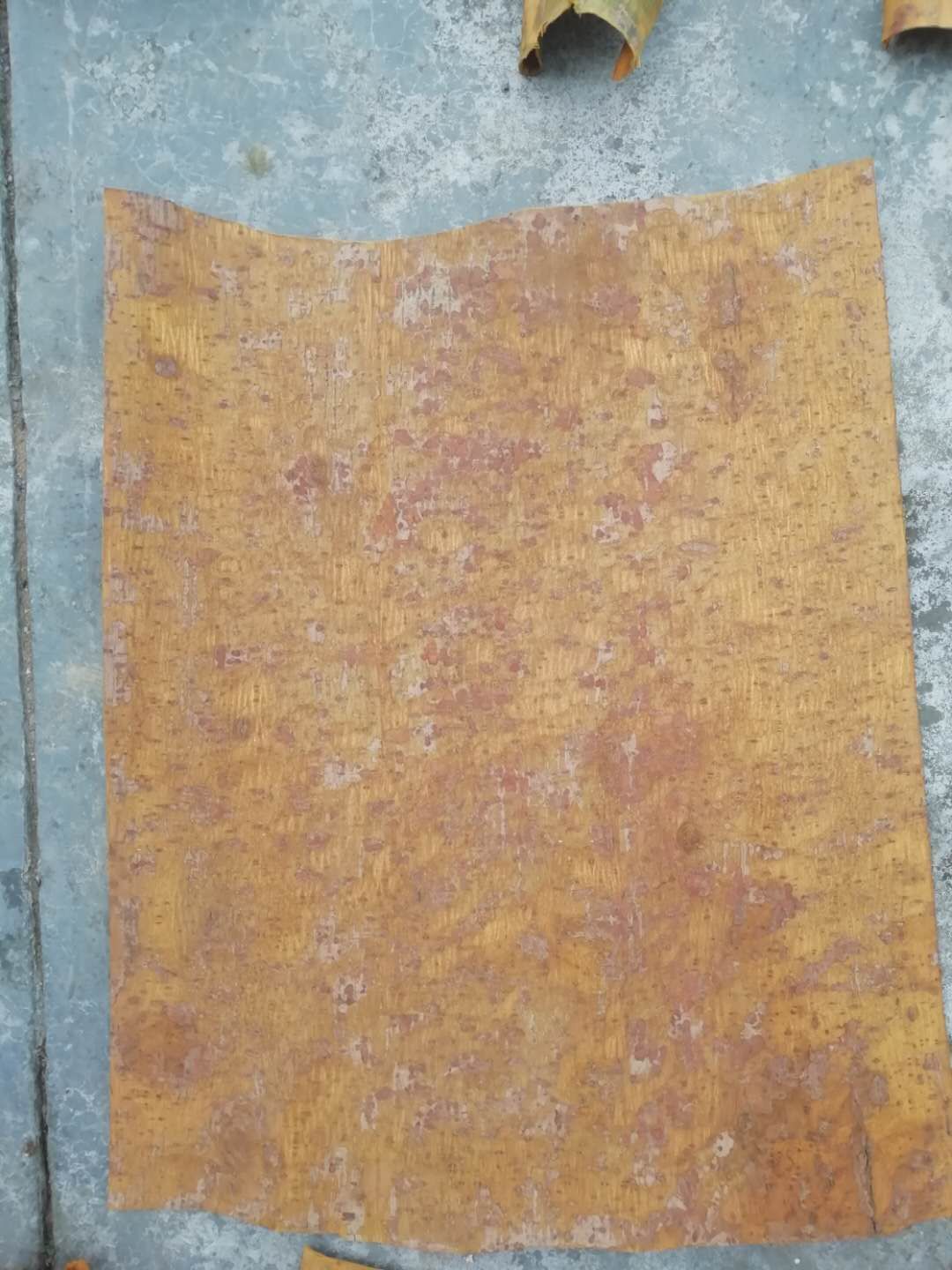 川黄柏 质量好，价格公道，颜色正，色彩好 ，数量多，规格大