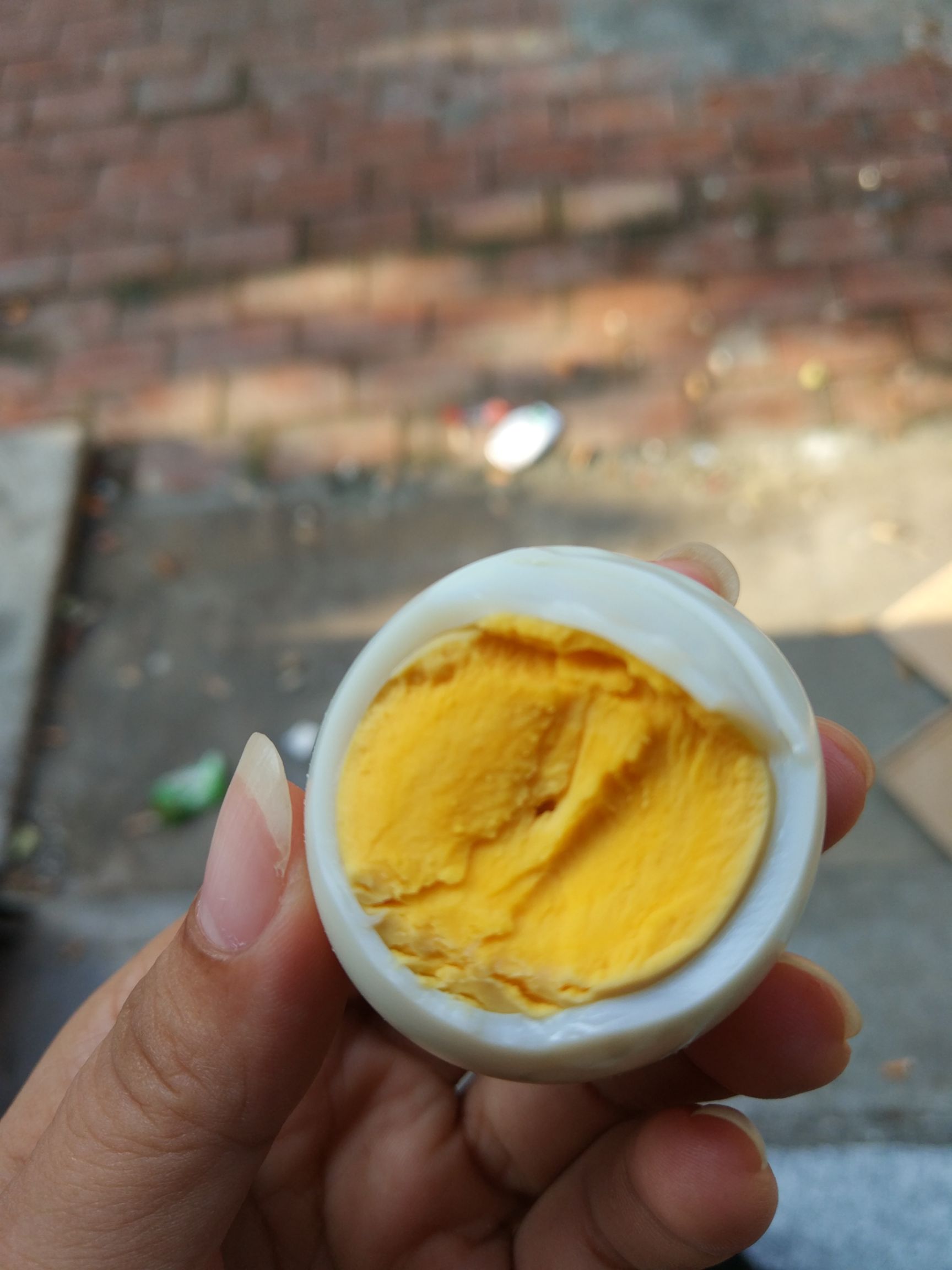 湖南绿壳蛋土鸡蛋林里散养个头饱乌鸡蛋满蛋香浓郁农场直供