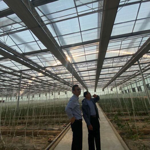 德州各种温室大棚建设