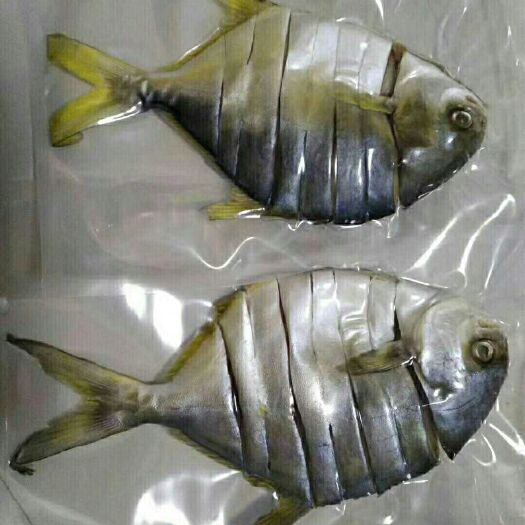 湛江金昌鱼干 金仓鱼干  湛江金仓鱼干，自家晾晒