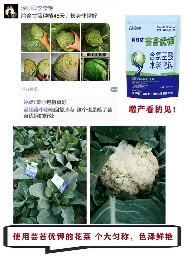 蕓苔優(yōu)鉀葉面肥瓜果蔬菜花卉促生長(zhǎng)壯苗膨果增甜增產(chǎn)提質(zhì)葉面肥