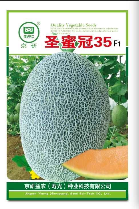 西州蜜25号甜瓜种子  西州蜜25(圣蜜冠35)