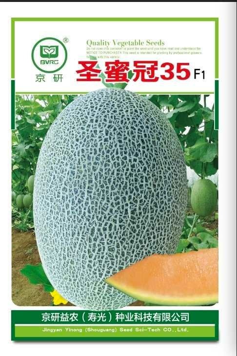 寿光市西州蜜25号甜瓜种子  西州蜜25(圣蜜冠35)
