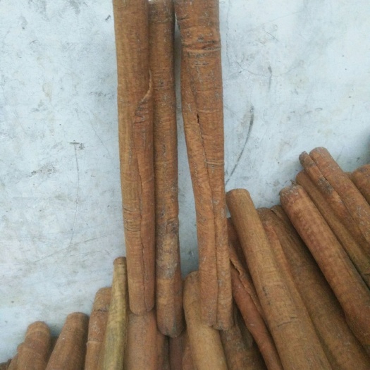 福州 本人有大量干桂皮出售，品质优良，欢迎大量采购。