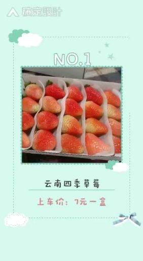  大量现货供应云南四季草莓