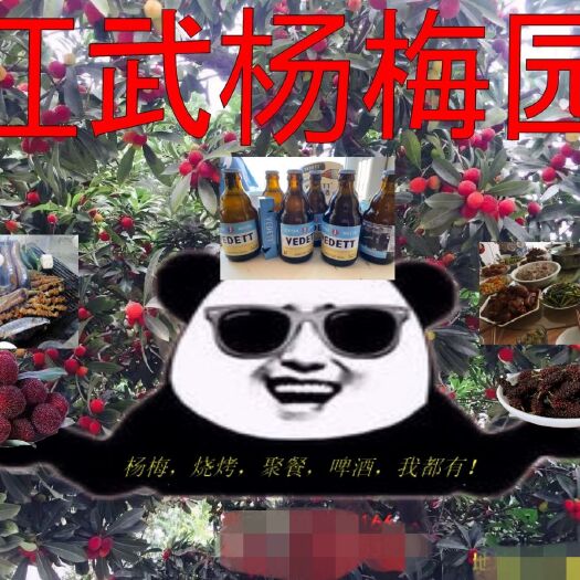 石屏县石屏杨梅 红武出品，必属精品！！！欢迎各位前来采摘。
