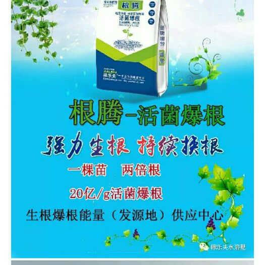 淮安水溶肥料 本品含多种养分和活菌，强生根持续换根，活化土壤有机质含量