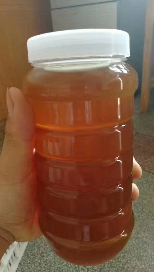 土蜂蜜 2年以上 42 本品不能代替药物