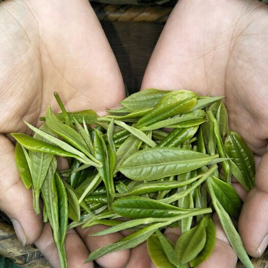 桃源县 农家自产天然无农药有机绿茶